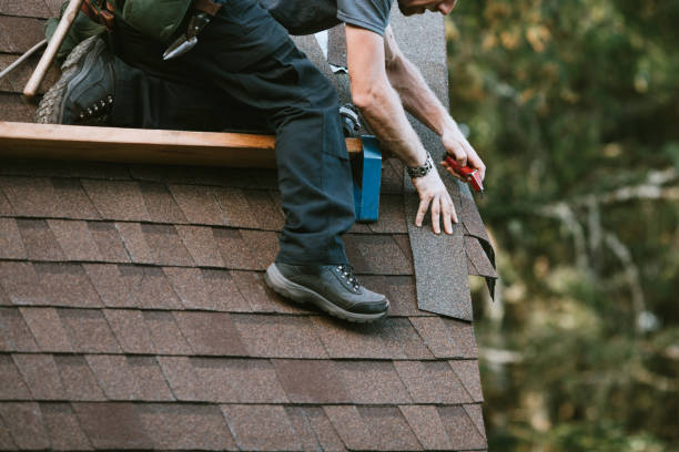 Best Roof Gutter Cleaning  in Mukwonago, WI